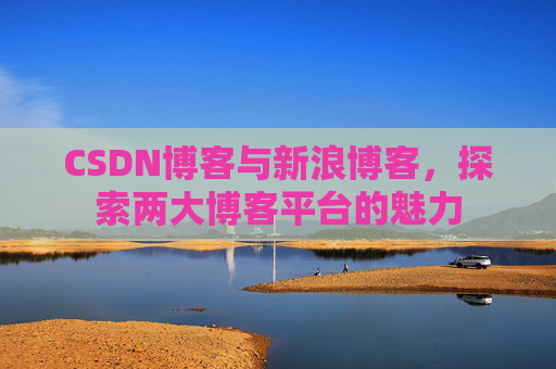 CSDN博客与新浪博客,探索两大博客平台的魅力